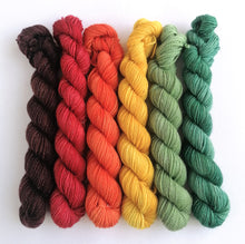 Load image into Gallery viewer, Falling Leaves hand dyed mini skeins. 6 x 20g. freeshipping - Felt Fusion

