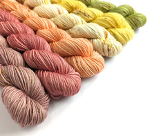 Load image into Gallery viewer, Autumn rainbow set on sock or 4ply, 6 x 50g or 20g.
