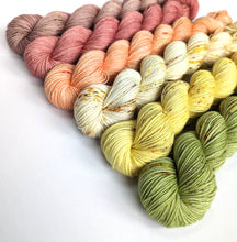Load image into Gallery viewer, Autumn rainbow set on sock or 4ply, 6 x 50g or 20g.
