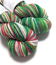 Load image into Gallery viewer, Holly Jolly Christmas on superwash Merino crazy 8 DK.
