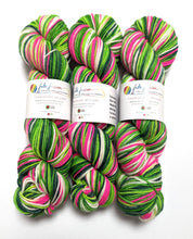 Load image into Gallery viewer, Whoville on superwash Merino crazy 8 DK.
