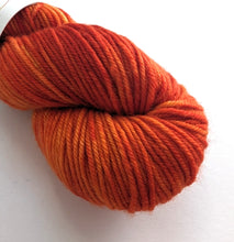 Load image into Gallery viewer, Blaze on superwash merino/cashmere/nylon DK yarn.
