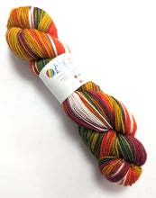 Load image into Gallery viewer, Winter Warmer on superwash Merino/nylon/sparkle sock yarn.
