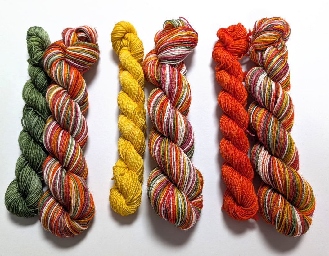 Winter Warmer sock set, on superwash merino/nylon sock yarn.