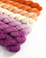 Load image into Gallery viewer, Lesbian flag mini skeins. 7 x 20g
