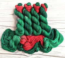 Load image into Gallery viewer, Tinne (Holly) on a choice of yarn bases.
