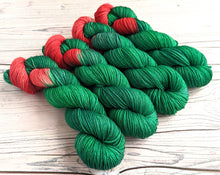 Load image into Gallery viewer, Tinne (Holly) on a choice of yarn bases.
