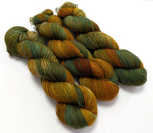 Load image into Gallery viewer, Solar Dyed superwash BFL/nylon sock yarn.
