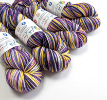Load image into Gallery viewer, Iris on superwash merino/nylon/sparkle DK.

