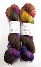 Load image into Gallery viewer, Two skeins of multicolored yarn with labels on a white background

