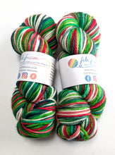 Load image into Gallery viewer, Holly Jolly Christmas on superwash merino/cashmere/nylon aran weight yarn.
