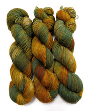 Load image into Gallery viewer, Solar Dyed superwash BFL/nylon sock yarn.
