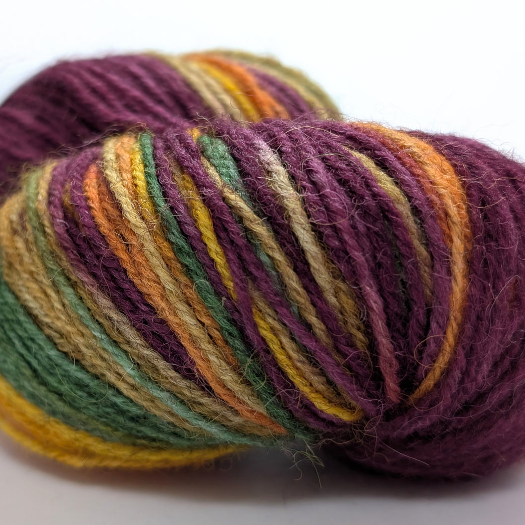 Autumn Leaves, hand dyed on Exmoor sock yarn.