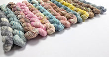 Load image into Gallery viewer, A line of thirteen mini skeins on a white background
