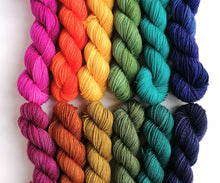 Load image into Gallery viewer, Autumn Rainbow hand dyed mini skeins. 6 x 20g freeshipping - Felt Fusion
