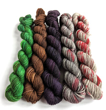 Load image into Gallery viewer, Holy Grail mini skeins. 5 x 20g
