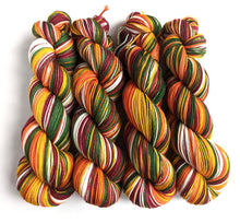 Load image into Gallery viewer, Winter Warmer on superwash merino/nylon sock yarn.
