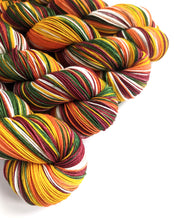 Load image into Gallery viewer, Winter Warmer on superwash merino/nylon sock yarn.
