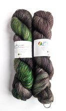 Load image into Gallery viewer, This &amp; That on superwash merino/silk/yak 4ply singles. 120g.
