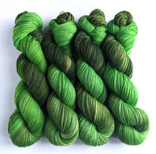 Load image into Gallery viewer, Sativa on superwash BFL/nylon sock yarn.
