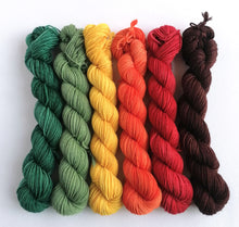 Load image into Gallery viewer, Falling Leaves hand dyed mini skeins. 6 x 20g. freeshipping - Felt Fusion
