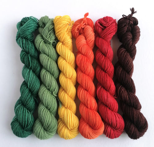 Falling Leaves hand dyed mini skeins. 6 x 20g. freeshipping - Felt Fusion