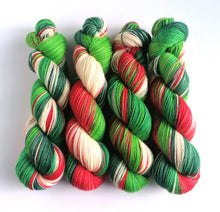 Load image into Gallery viewer, Holly Jolly Christmas on non-superwash BFL 4ply. freeshipping - Felt Fusion
