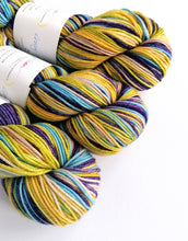 Load image into Gallery viewer, Raj, hand dyed on Superwash Merino crazy 8 DK. freeshipping - Felt Fusion
