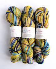 Load image into Gallery viewer, Raj, hand dyed on Superwash Merino crazy 8 DK. freeshipping - Felt Fusion
